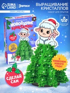 Набор для опытов «Новогодние кристаллы» - Фото 1