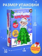 Набор для опытов «Новогодние кристаллы» - Фото 2