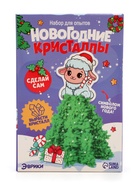 Набор для опытов «Новогодние кристаллы» - фото 809779455