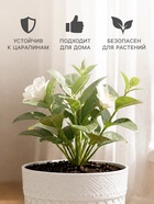 Кашпо пластиковое для цветов, 700 мл, d=12 см, h=9.5 см, белое, Greengo - Фото 3
