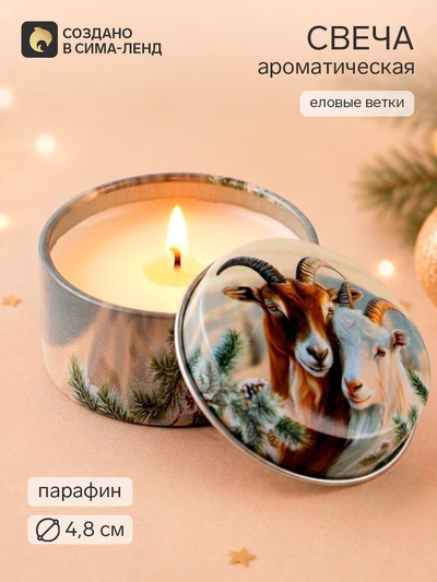 Свеча ароматическая, в железной банке «Пара», еловые ветки, d=4.8 см