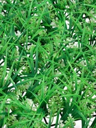 Декоративная панель, 40×60 см, «Белый клевер», Greengo - фото 809782517