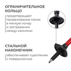 УЦЕНКА Палки для скандинавской ходьбы ONLYTOP, телескопические, 3 секции, до 135 см, 2 шт., МИКС (нет защитного колпачка на одной палке) - Фото 4