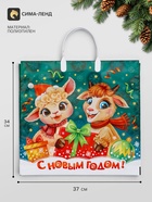 Пакет «Забияки», полиэтиленовый с пластиковой ручкой, 37×34 см, 80 мкм - Фото 1