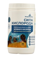 Средство для бассейнов ХлорЭксель «Сила кислорода», 1 кг - Фото 1