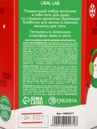 Подарочный набор: гель для душа, мочалка и бомбочка для ванны, URAL LAB - фото 809784720
