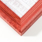 Фоторамка сосна с20 красный 21х30 см (пластиковый экран) - Фото 2