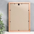 Фоторамка сосна с20 красный 21х30 см (пластиковый экран) - Фото 3