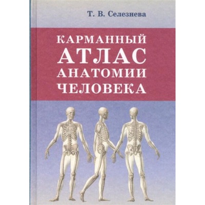 УЦЕНКА Карманный атлас анатомии человека. Селезнева Т.В.