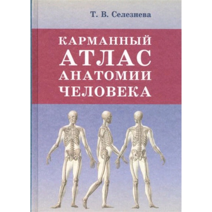УЦЕНКА Карманный атлас анатомии человека. Селезнева Т.В. - Фото 1