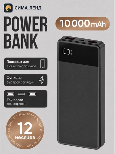 Внешний аккумулятор VIXION PRO VP-06, 10000 мАч, USB+Type-C, 10000 мАч, LED-дисплей, чёрный