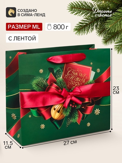 Пакет подарочный с лентой «Счастья в Новом году», ML 27×23×11.5 см