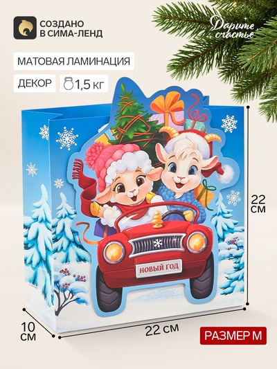 Пакет подарочный «С Новым годом», символ года, 22×22×10 см