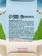Подарочный набор «Пингвин»: гель для душа 110 мл и мочалка для тела, URAL LAB 10979412