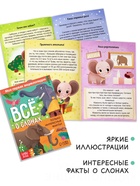 Энциклопедия «Всё о слонах», 16 стр., 0+ 7963572