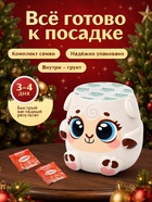 Набор для опытов «Выращиваем травку», овечка - Фото 2