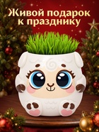 Набор для опытов «Выращиваем травку», овечка - Фото 3