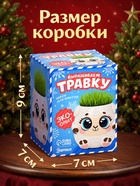 Набор для опытов «Выращиваем травку», овечка - Фото 4
