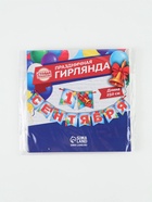 Гирлянда на ленте «1 сентября», длина 250 см - Фото 4