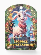 Доска разделочная сувенирная «Символ года. Новых Впечатлений!», 27.5×19.5×0.6 см, дерево, разноцветная - Фото 7
