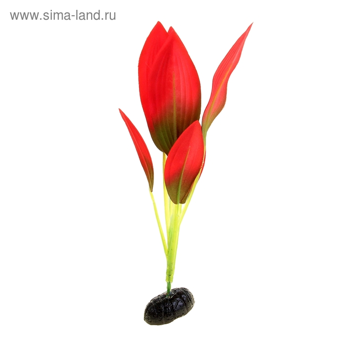 Растение шелковое "Эхинодорус Амазонка" красно-зеленый 22 см YM-03 - Фото 1