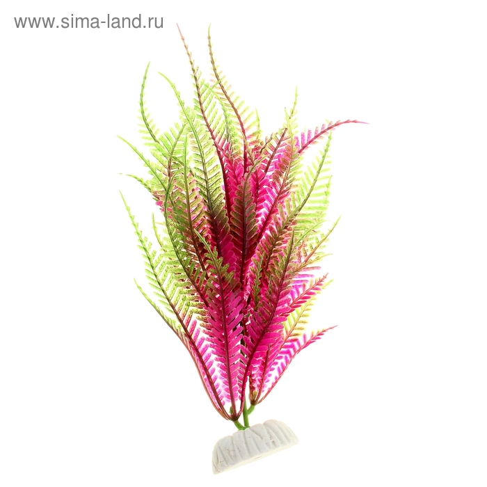 Растение пластиковое "Папоротник" зелено-фиолетовый 20 см АР042D/8 - Фото 1