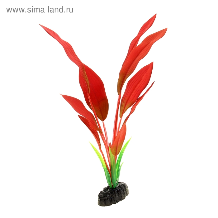 Растение шелковое "Эхинодорус Амазонка" красный 30 см YM-12 - Фото 1
