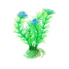 Растение пластиковое "Амбулия" оранжево/сиренево-зеленая 10 см AP082D/4 - Фото 1