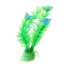 Растение пластиковое "Амбулия" оранжево/сиренево-зеленая 10 см AP082D/4 - Фото 2