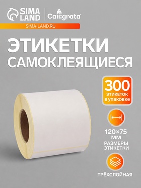 Термоэтикетка 120×75 мм, диаметр втулки=40 мм, 300 этикеток ТОП 11019592