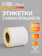 Термоэтикетка 75×120 мм, набор 6 шт, диаметр втулки=40 мм, 250 этикеток ЭКО 11019593
