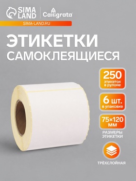 Термоэтикетка 75×120 мм, набор 6 шт, диаметр втулки=40 мм, 250 этикеток ТОП 11019594