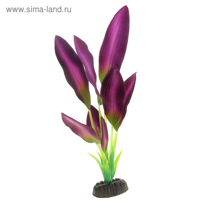Растение шелковое "Эхинодорус" зелено-фиолетовый 30 см YM-04 - Фото 1