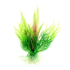 Растение пластиковое "Болотник" зеленый 10 см УМ083В/4 - Фото 1