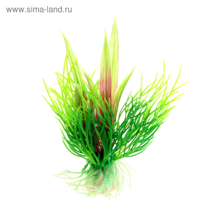 Растение пластиковое "Болотник" зеленый 10 см УМ083В/4 - Фото 1