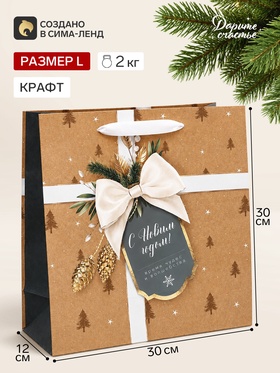 Пакет подарочный «С Новым годом», 30×30×12 см