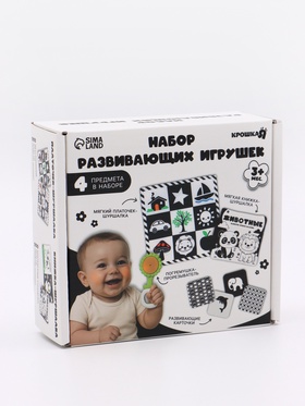 Набор развивающих игрушек, 4 предмета, методика Г. Домана