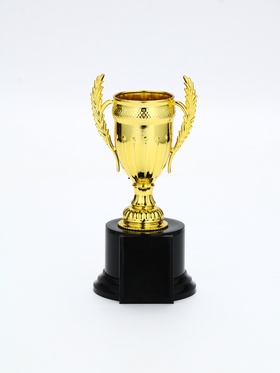 Кубок 179C, наградная фигура, золото, подставка пластик, 17,5 × 8,8 × 8 см. КОРОБКА