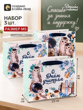 Пакеты подарочные «С Днём учителя», набор 3 шт., 23×18×10 см