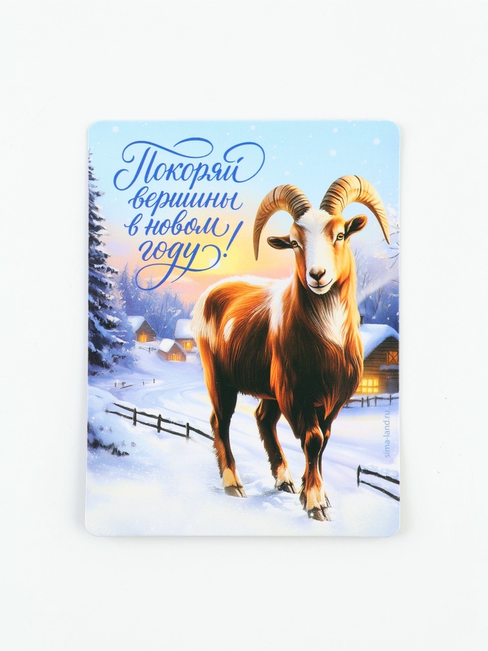 Магнит полимерный «Покоряй вершины», 6×8 см