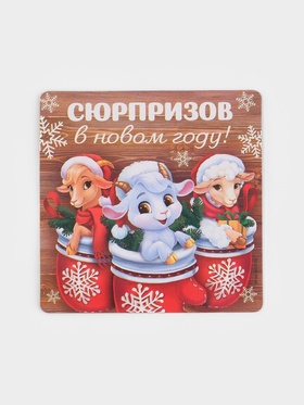 Магнит полимерный 