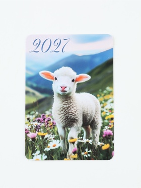 Календарь карманный 2027  