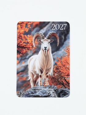 Календарь карманный 2027  