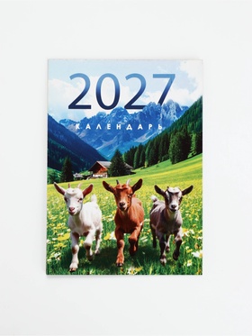 Календарь 2027, отрывной на магните «Фоторелистичный 2027» 9.5×13 см