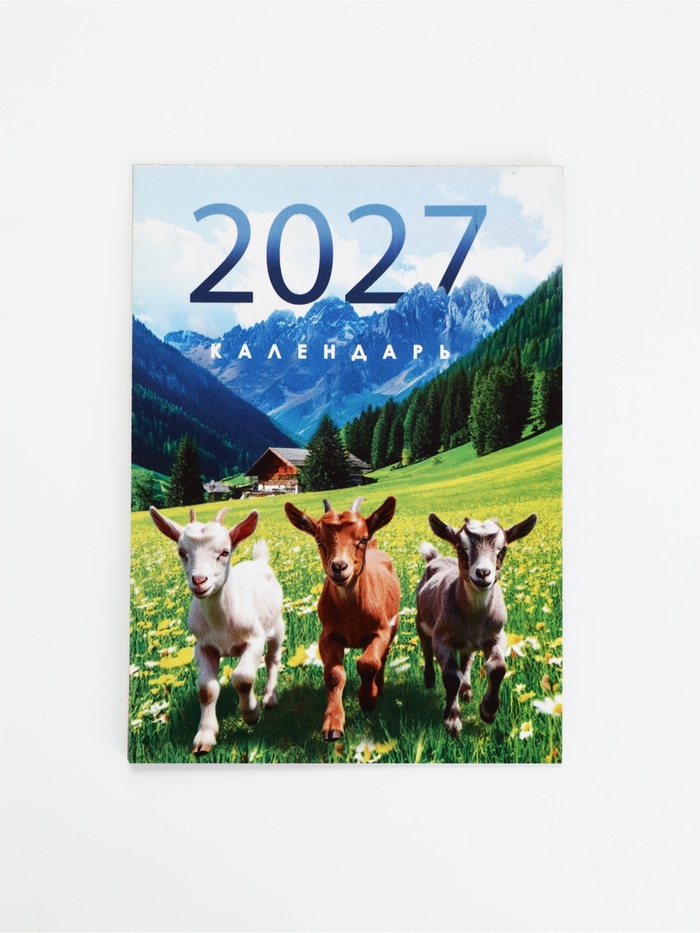 Календарь 2027, отрывной на магните «Фоторелистичный 2027» 9.5×13 см