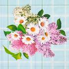 Скатерть на стол «Кружево», нетканая основа, многоразовая, с кружевом, 130×140 (±5 см), МИКС - Фото 12