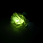 Светильник "Старт", роза - Фото 4