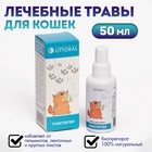 Лечебные травы «Глистогон» для кошек, 50 мл - Фото 1