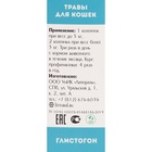 Лечебные травы «Глистогон» для кошек, 50 мл - Фото 4