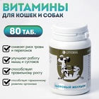 Пивные дрожжи «Здоровый желудок» для кошек и собак, с энтеросорбентом, 80 таб - Фото 1